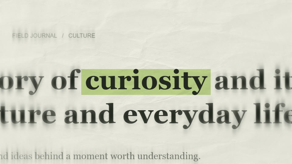 The word curiosity highlighted in pale green on cream newspaper-style paper