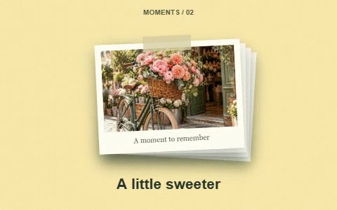A stack of flower photographs with stop-motion movement