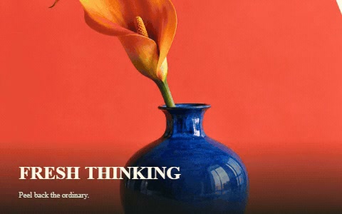 A flower in a blue vase revealed by peeling tape